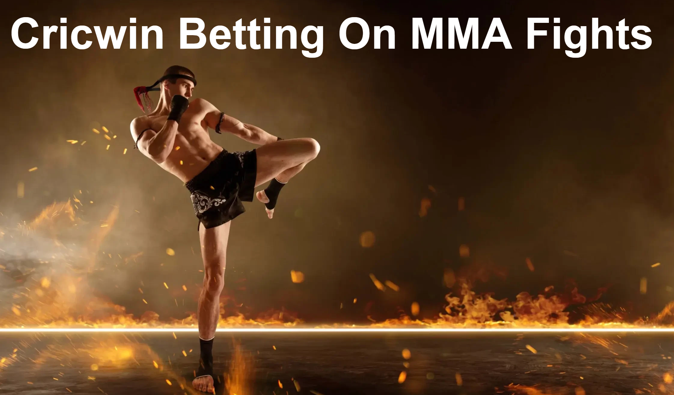 Cricwin Betting On MMA Fights