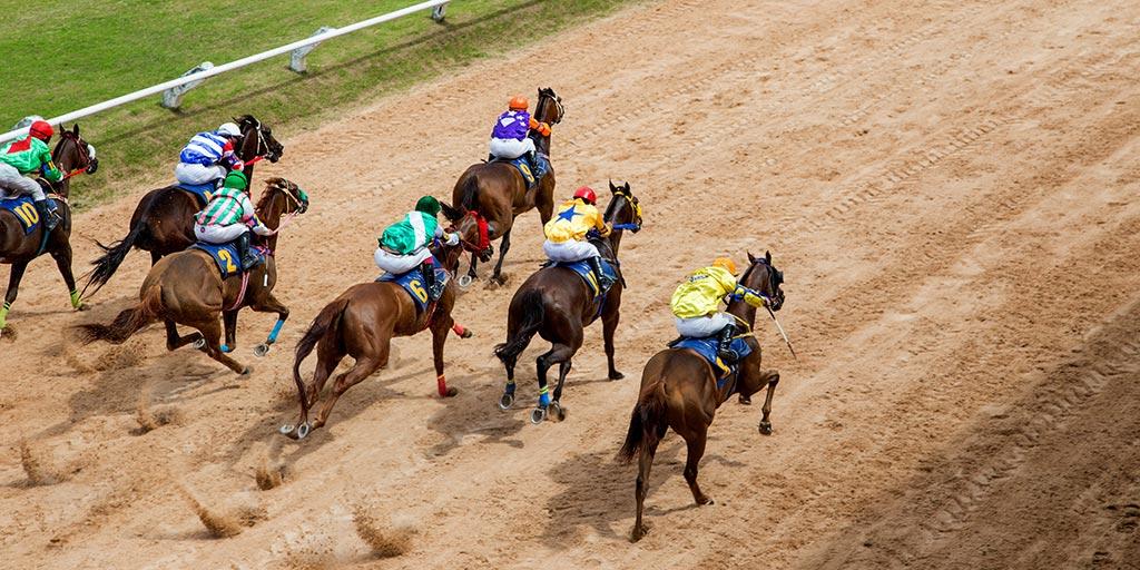 cricwin horse race betting site reviews